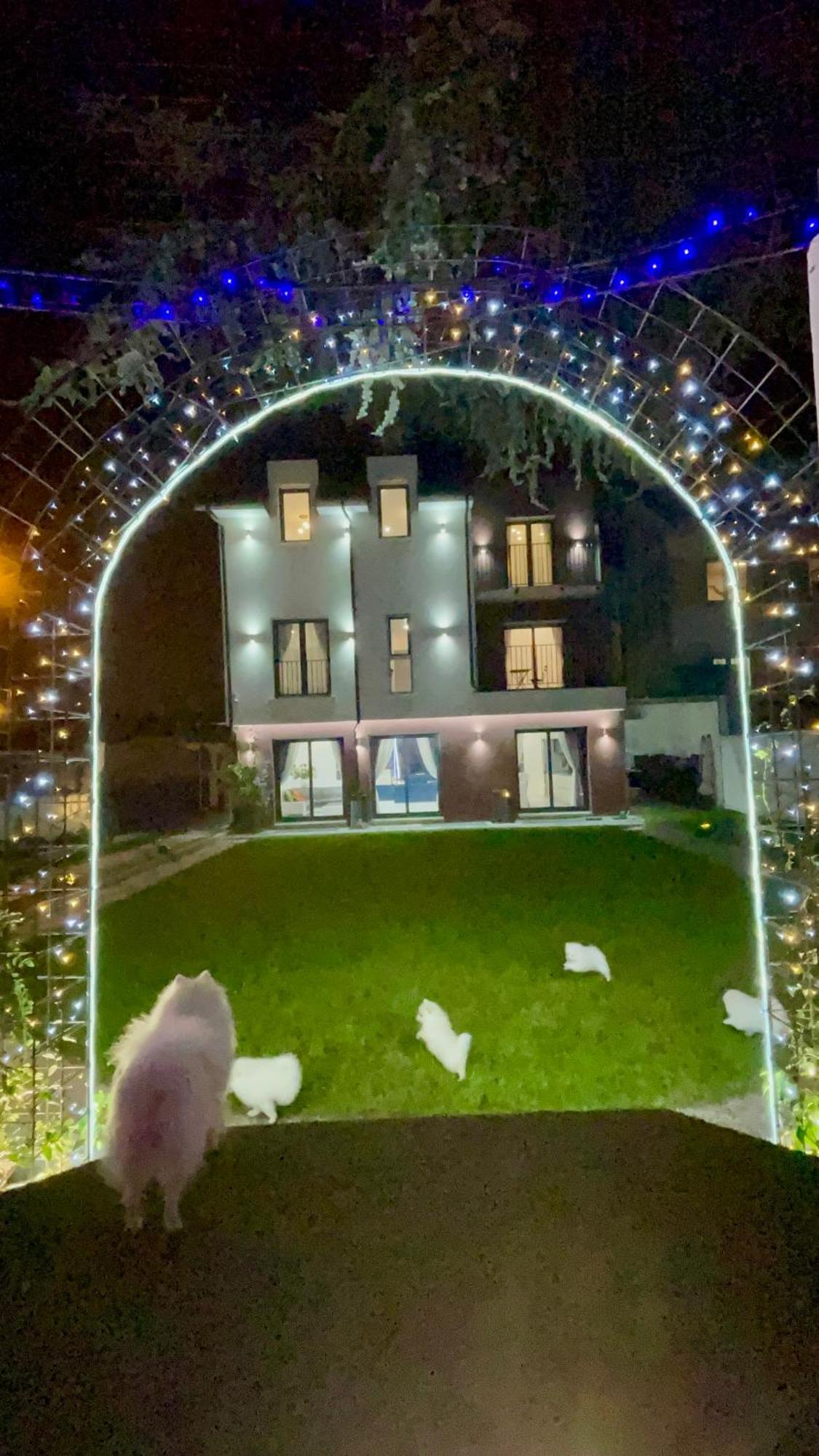 Paris Dream Villa فيلوجويف المظهر الخارجي الصورة